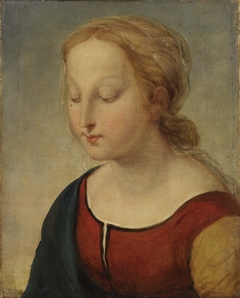 Head of the Madonna (from la Belle Jardiniere) by Anonymous