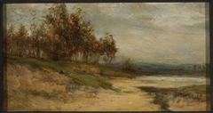 Landscape with a bunch of trees