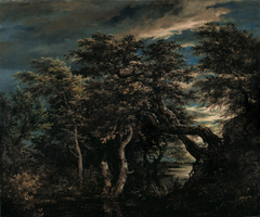 Marsh in a forest at dusk by Jacob van Ruisdael
