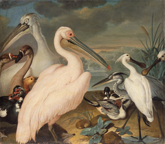 Pelikane und andere Vögel by Philipp Ferdinand de Hamilton