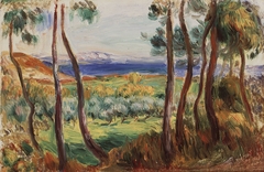 Pins aux environs de Cagnes by Auguste Renoir