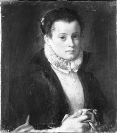 Portrait of an Unknown Lady by Anonymous
