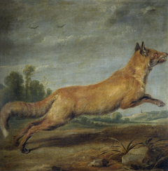 Running fox