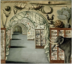 Sir Ashton Lever’s private museum, Leicester Square, London, 1785, by Sarah Stone by Sarah Stone