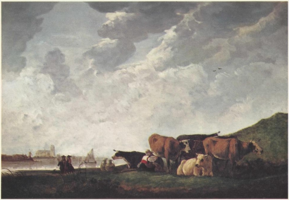Six cows in a meadow