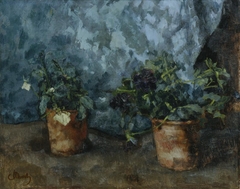 Still life with flower heads