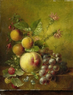 Stilleven met vruchten by Willem Hekking I
