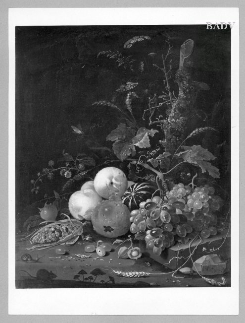 stillife various fruit and plant.