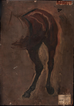 Study of Horse for The Fairman Rogers Four-in-Hand by Thomas Eakins