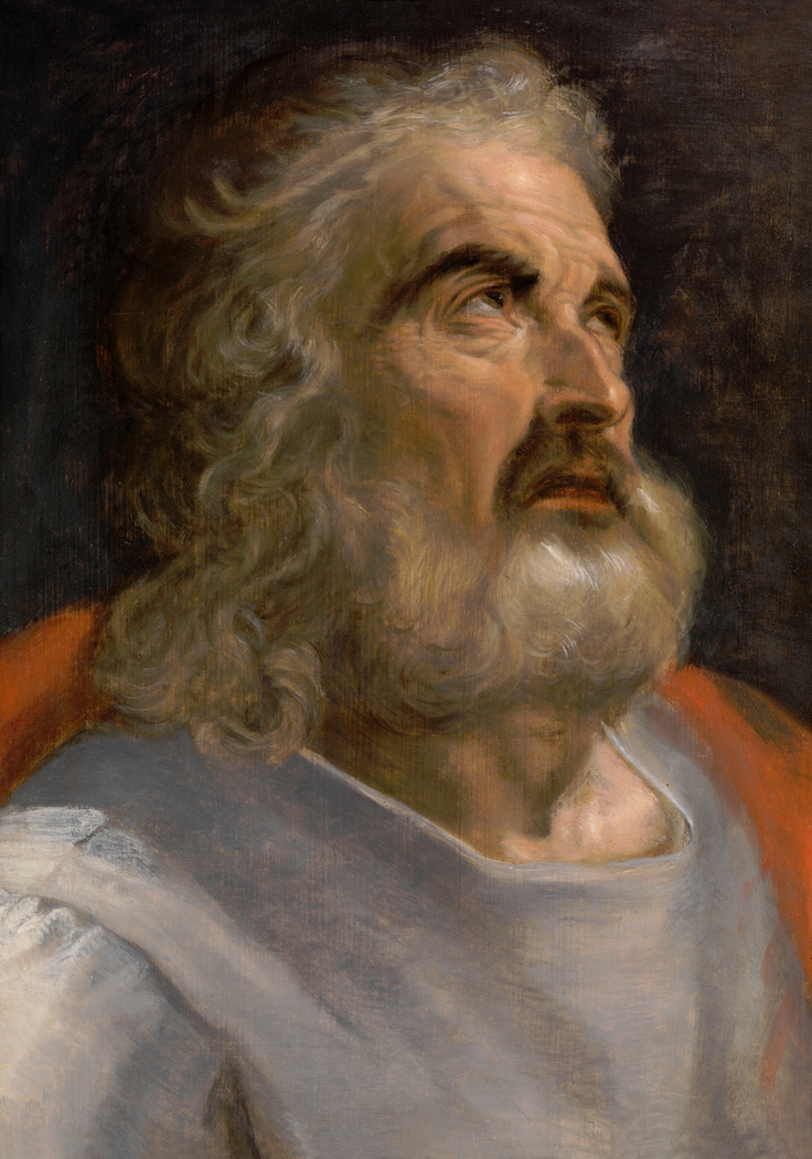 Study of the head of a bearded man