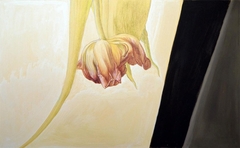 Tulip by Gianrico Gualtieri