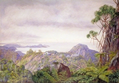 View of the South Coast of Mahé and Schools of Venn's Town, Seychelles by Marianne North