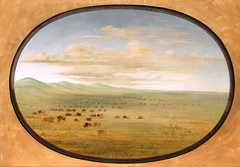 Wild Cattle Grazing on the Pampa del Sacramento by George Catlin