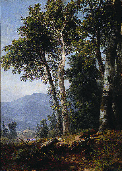 Woodland Landscape