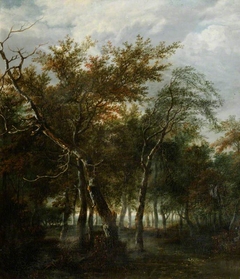 A Wooded Landscape by attributed to Jan van Kessel II