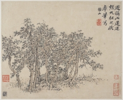 Album of Landscapes, Plants, Figures and Animals: Grove of Pines by Fang Shishu