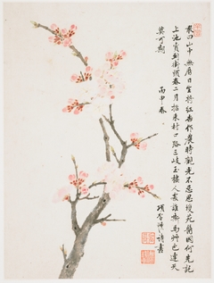 Album of Ten Leaves by Xiang Shengmo