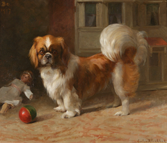 'Bo', a Pekingese dog by Evelyn Blacklock