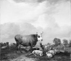 Cattle in the Field by Albert Klomp