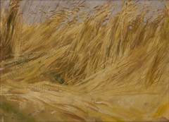 Corn Field (Study) by Włodzimierz Tetmajer