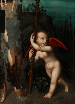 Cupid with a myrtle