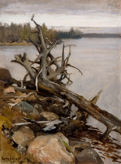 Dead Pine in the Water by Eero Järnefelt