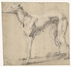 Een staande hond, van opzij gezien by Frans Snijders