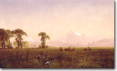 Elk Grazing in the Wind River Country by Albert Bierstadt