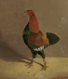 Fighting Cocks: a Dark-Breasted Fighting Cock, Facing Left by John Frederick Herring