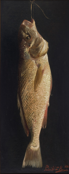Fish by Pedro Alexandrino Borges