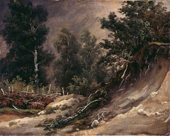 Forest Study from Romsdal by Thomas Fearnley