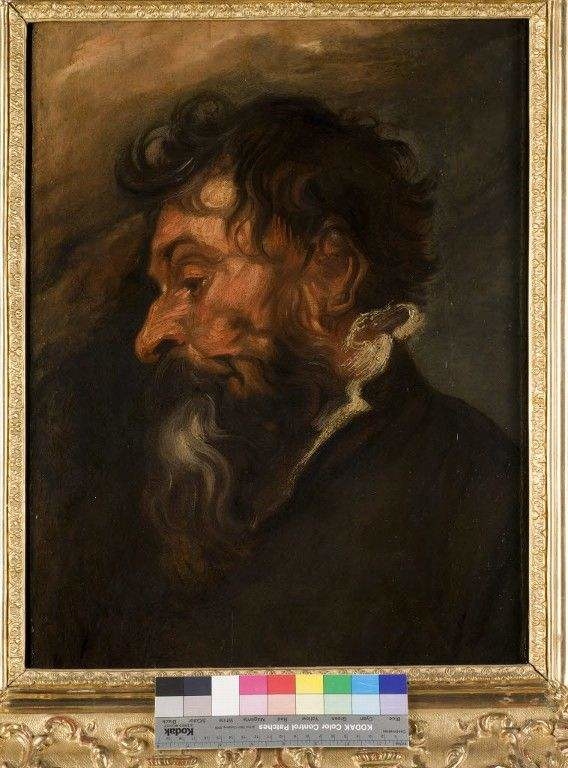 Head of a Bearded Man in Profile