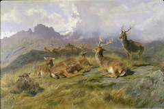 Landscape with Deer