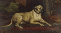 'Lion', a Lyme Mastiff in the Entrance Hall at Lyme by John Trivett Nettleship