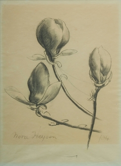 Magnolias in Kew Gardens by Nora Heysen