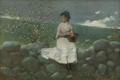 Peach Blossoms by Winslow Homer