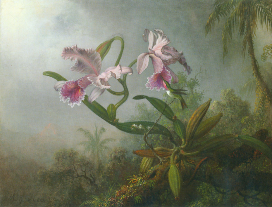 Pink Orchids and Hummingbird on a twig