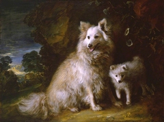 Pomeranian Bitch and Puppy by Thomas Gainsborough