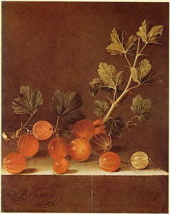 Spray of Gooseberries on a Stone Plinth by Adriaen Coorte