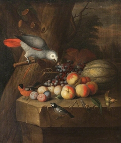 Still Life with Parrot and Fruit by Anonymous