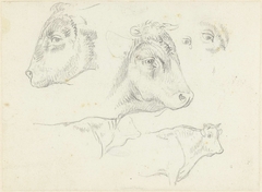 Studies van koeien en koeienkoppen by Josephus Augustus Knip