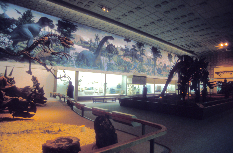 Exhibit image