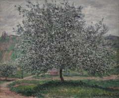 The apple tree by Claude Monet