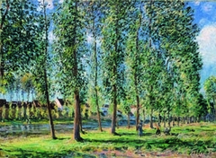 The Row of Poplar Trees in Moret