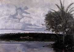View of Frederica City in Paraiba by Frans Post