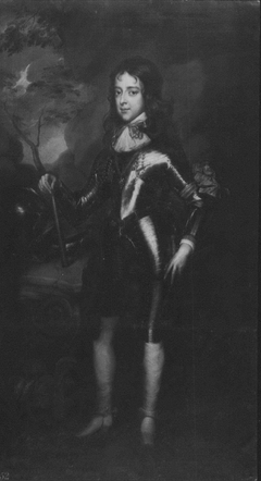 William III (1650-1702), when Prince of Orange by Adriaen Hanneman
