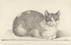 Zittende kat, naar rechts by Jean Bernard