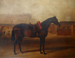 A Charger on the Parade Ground of Albany Barracks, London by John Frederick Herring