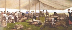 A sheep shearing match by Eyre Crowe