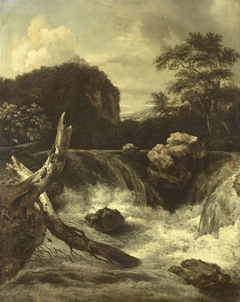 A Waterfall (Cascade) by Jan van Kessel 1641-1680